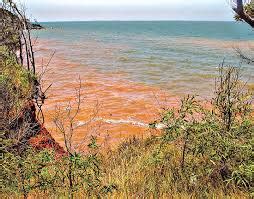 red tide alert cavite|9 areas still positive for ‘red tide’–BFAR .
